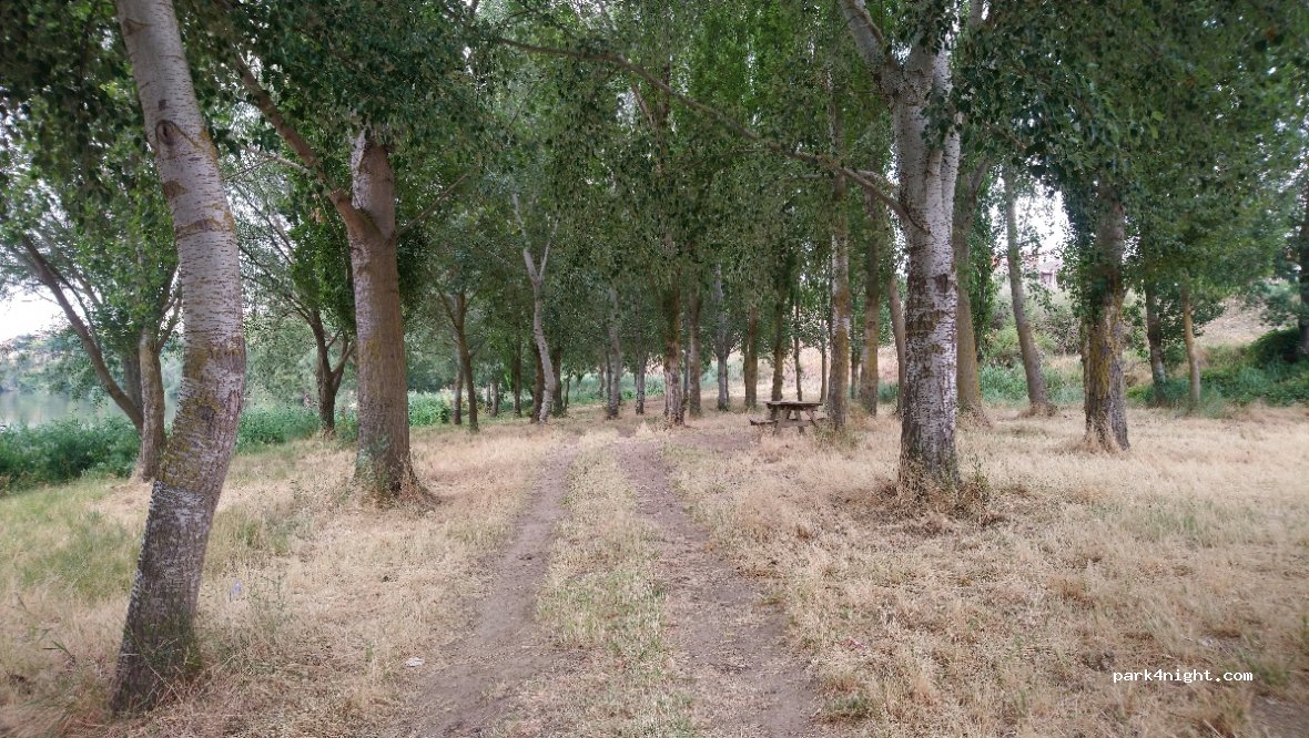 (47100) Tordesillas - Avenida Santa Teresa — foto