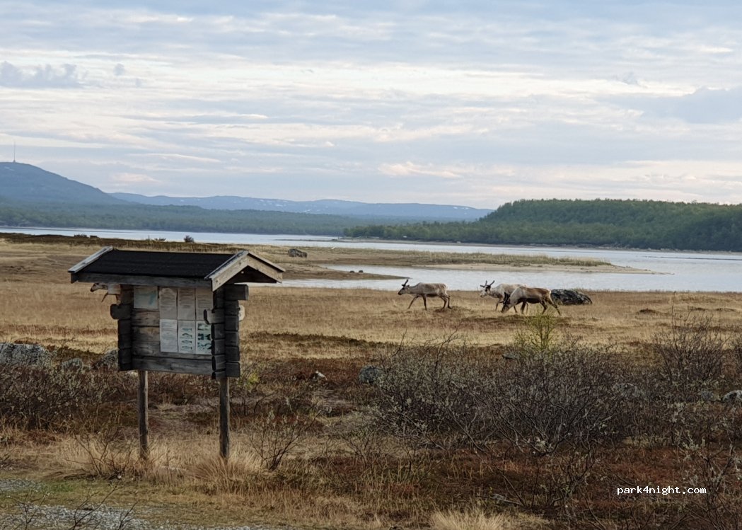 (9930)  - Unnamed Road — foto 2