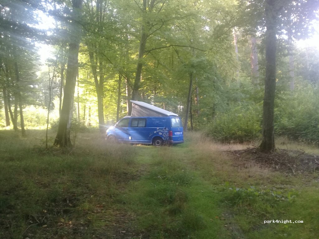 (11-710) Gałkowo - Droga Wojewódzka 610 — foto