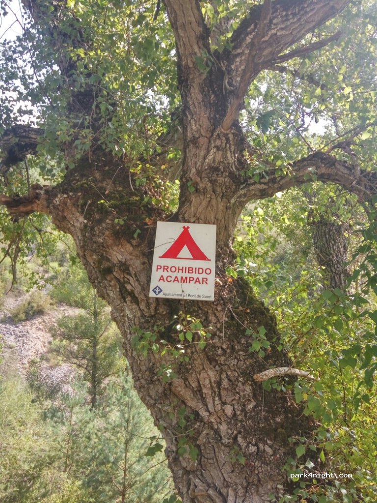 (25520) el Pont de Suert - Eix Pirinenc — foto