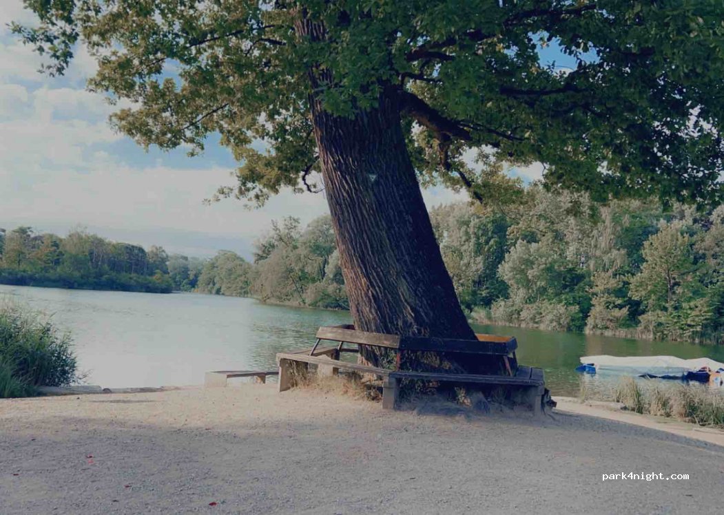 AZUR Waldcamping on Auwaldsee (Ingolstadt)\ — foto 3