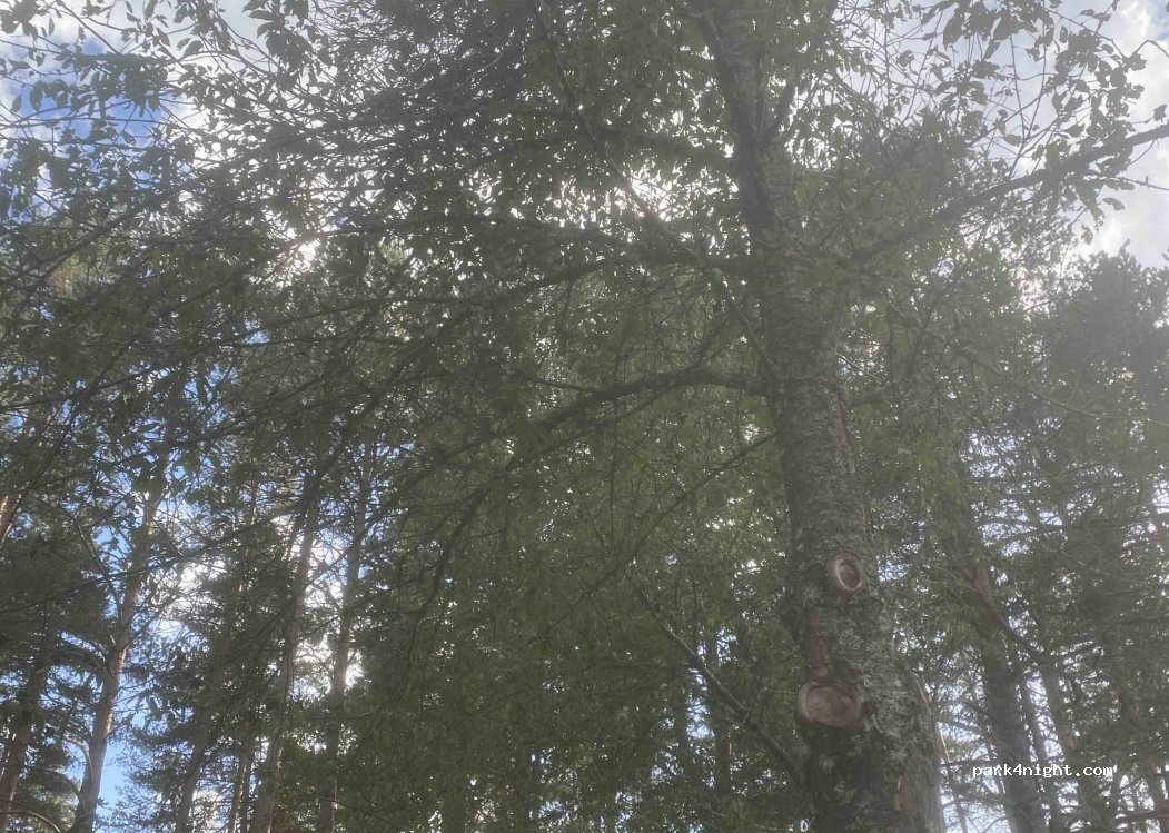 Camping Asolaze — foto 2