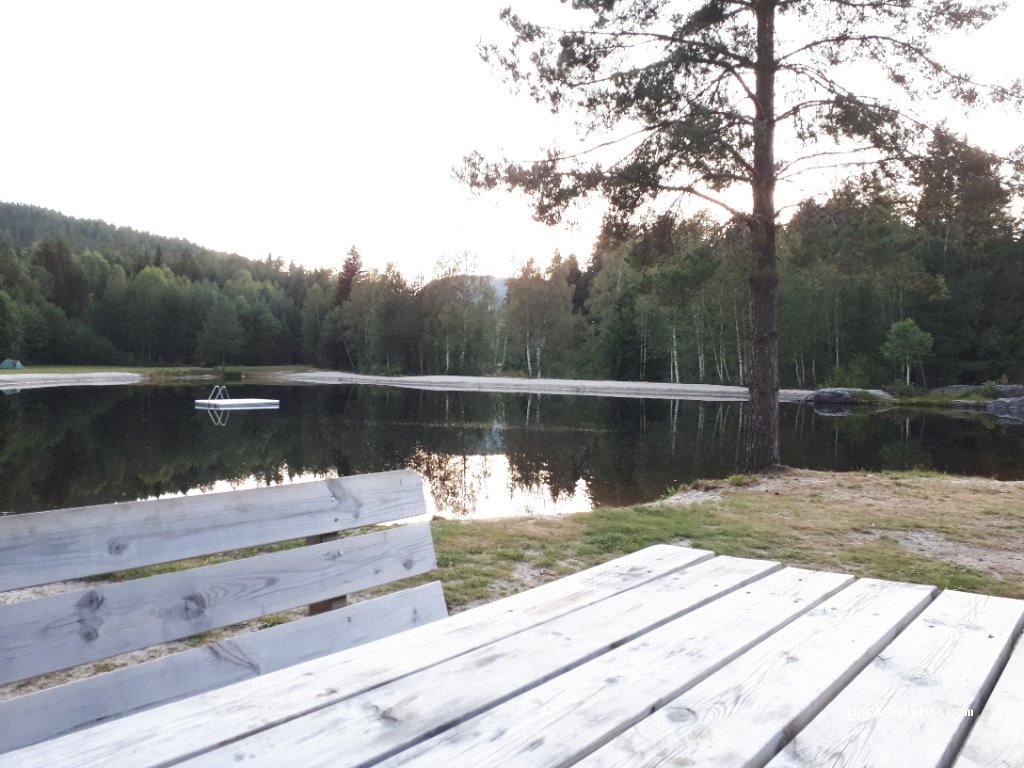 (3614) Kongsberg - Primær Fylkesveg 37 — foto 2