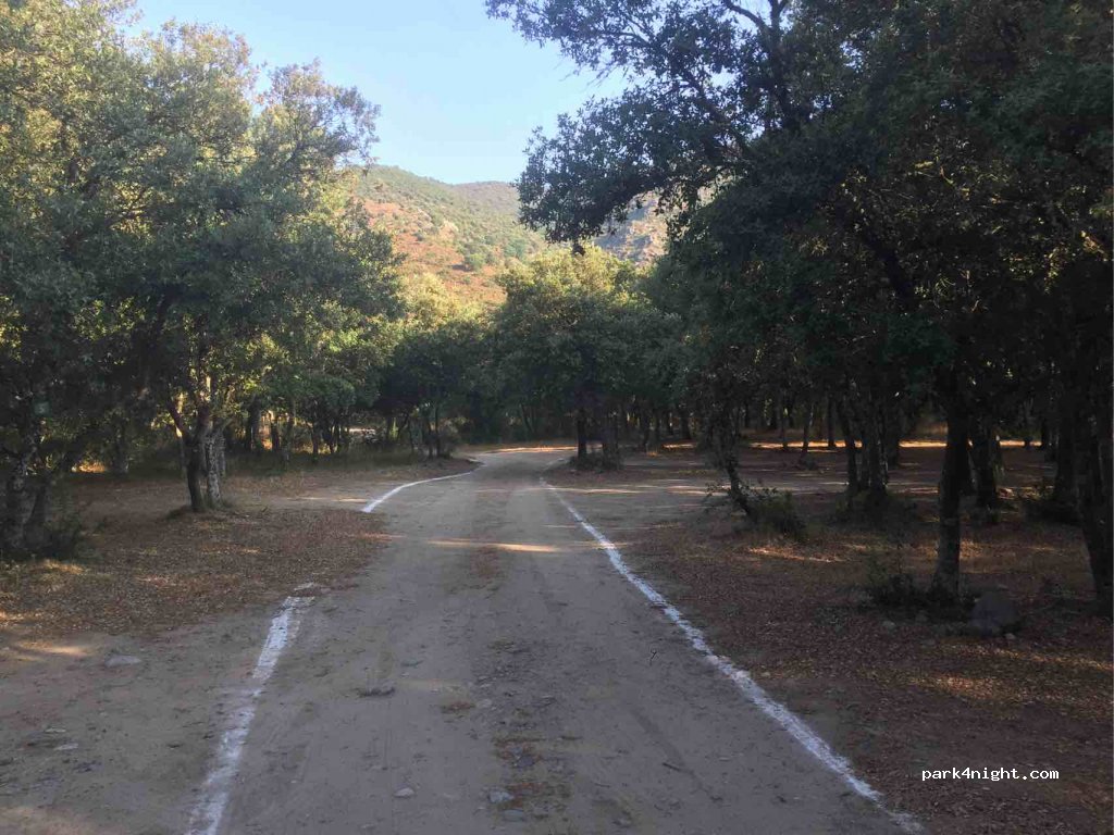 Camping Campita — foto