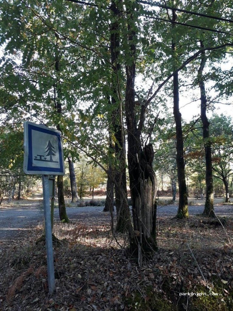 (85480) Fougeré - D60 — foto