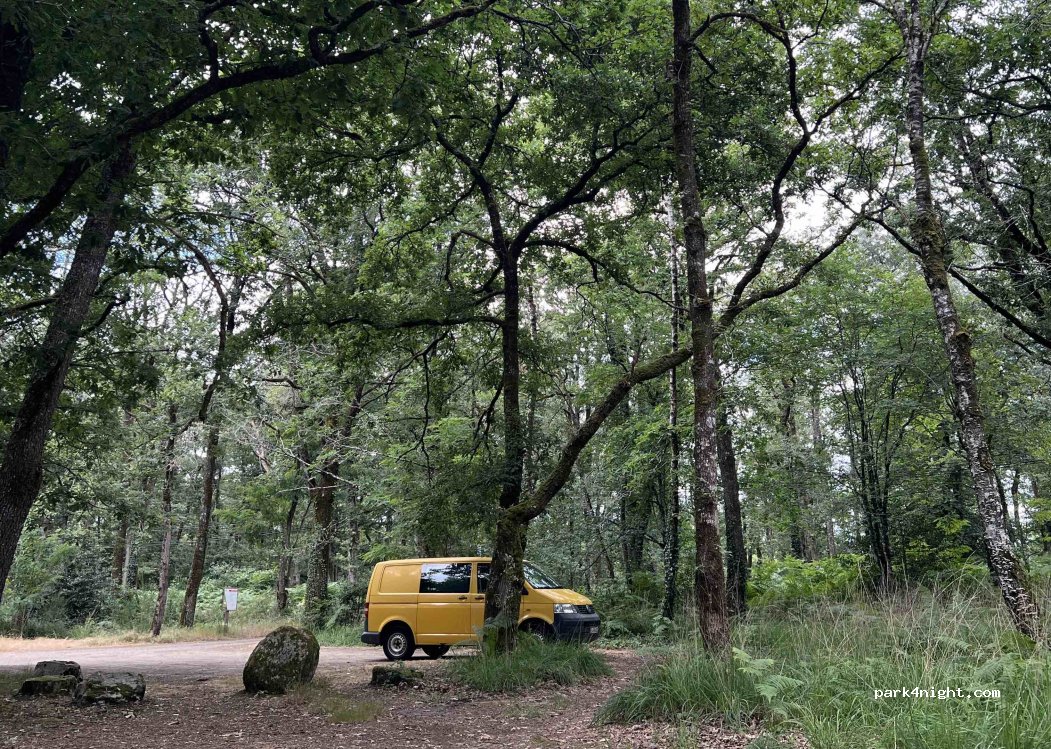 (85480) Fougeré - D60 — foto 5