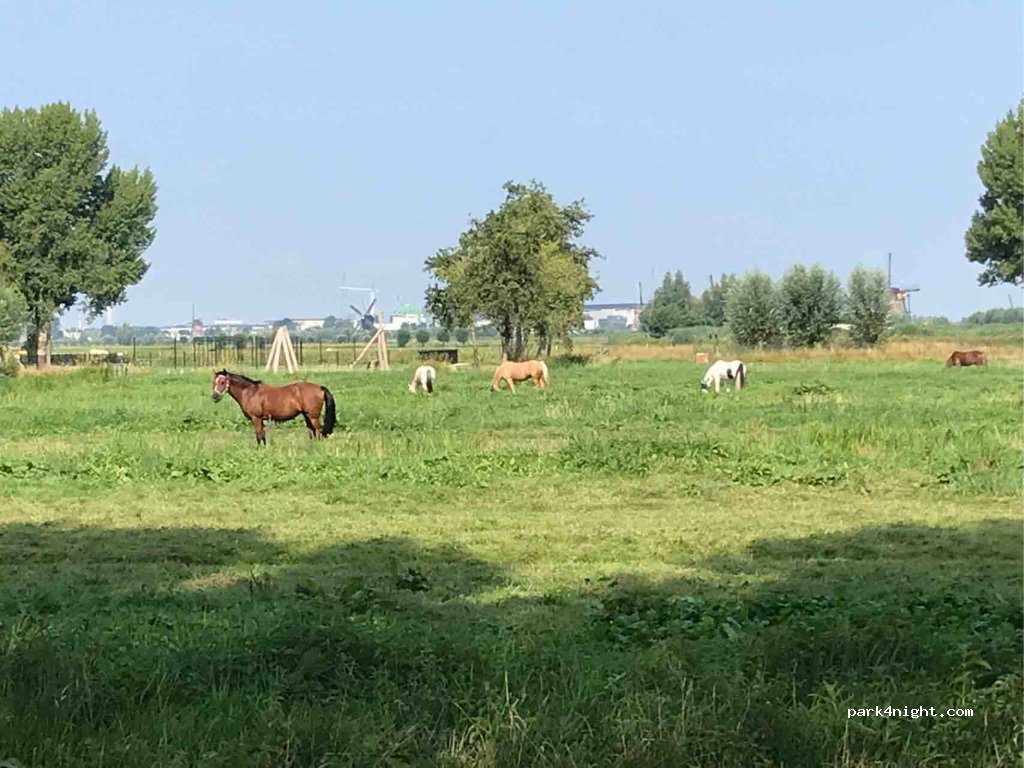 (2954) Alblasserdam - Plantageweg — foto 2