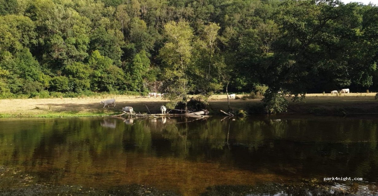 Camping — foto 2