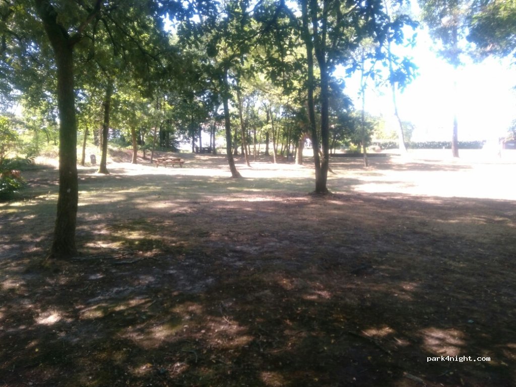 (40370) Rion-des-Landes - 68 Rue Dominique Bellegarde — foto 2