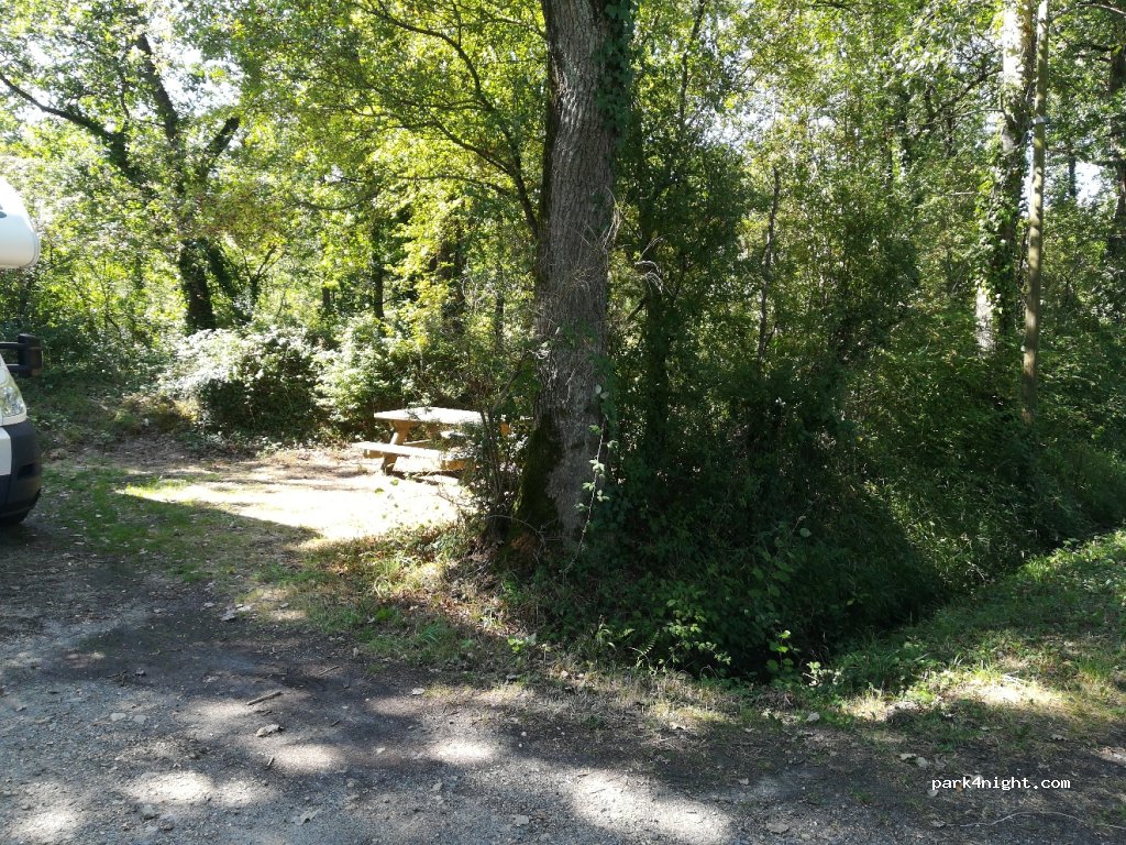 (85710) Bois-de-Céné - Unnamed Road — foto