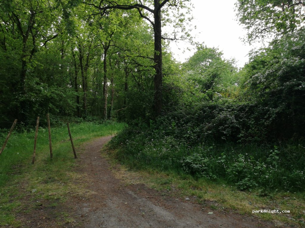 (85710) Bois-de-Céné - Unnamed Road — foto 2